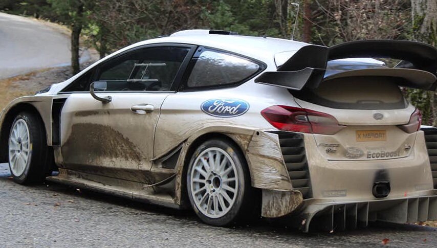 World Rally Fans