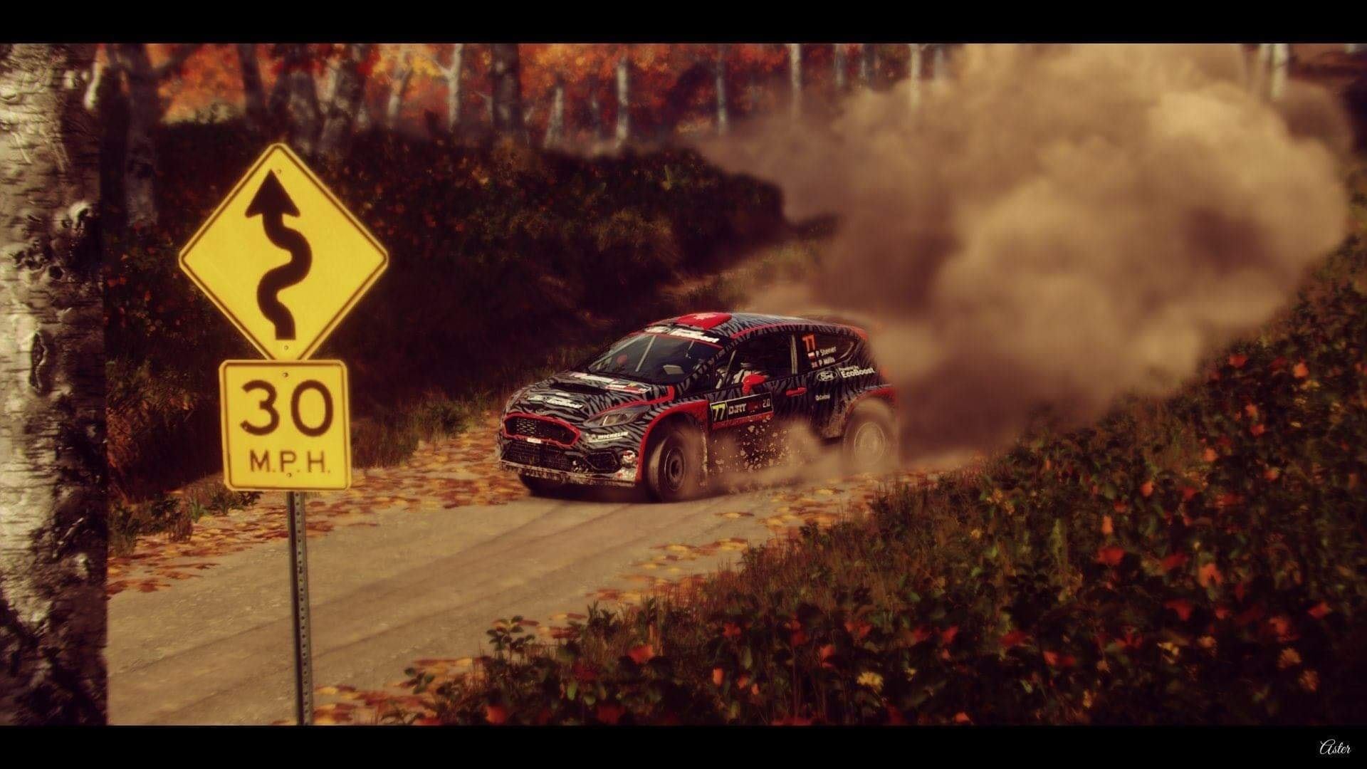 DiRT Rally 2.0