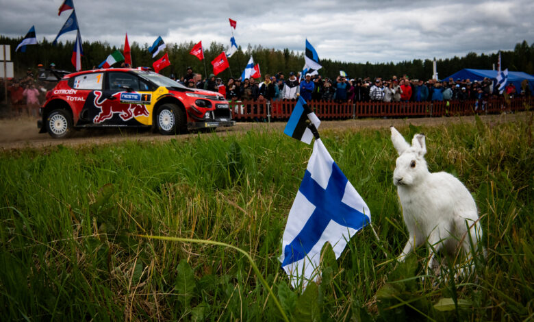 Rajd Estonii - Rajd Finlandii