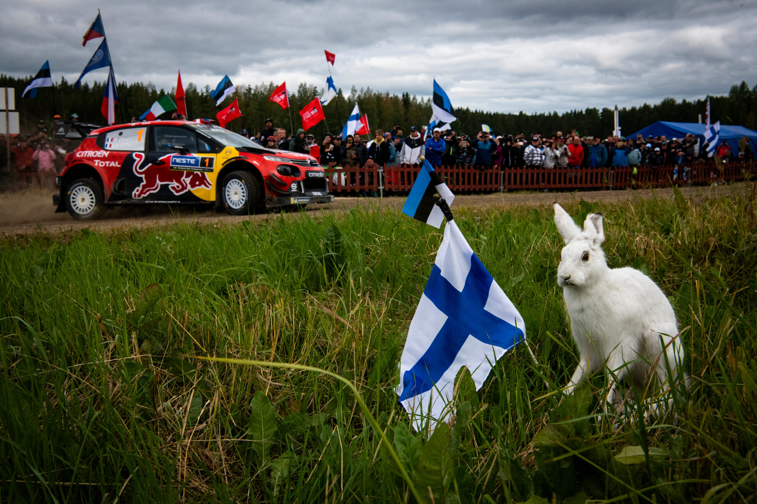 Rajd Estonii - Rajd Finlandii