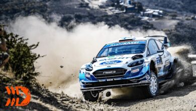 DirtFish