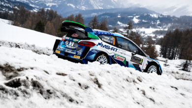 Suninen