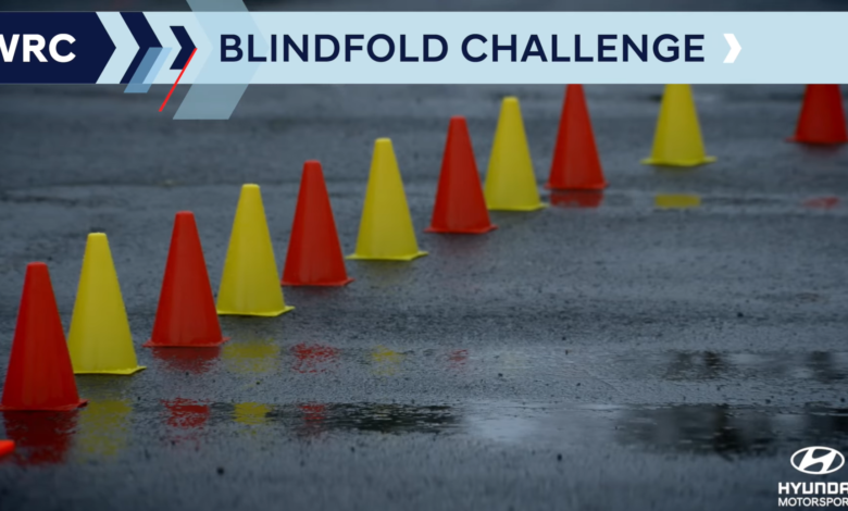 Hyundai Blindfold Challenge