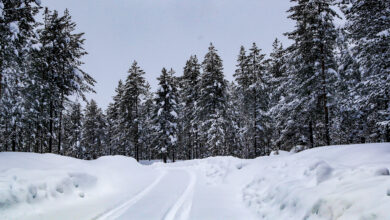 2021 FIA World Rally Championship / Round 02 / Arctic Rally Finland / 26-28 February, 2021 // Worldwide Copyright / Rovaniemi