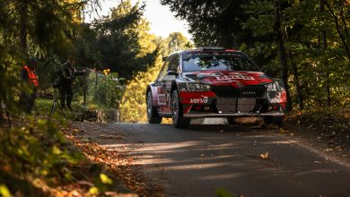 Orlen Team