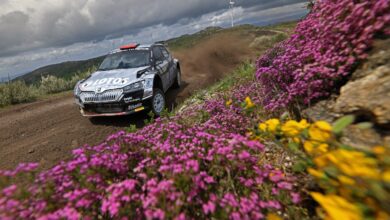 Lotos Rally Team