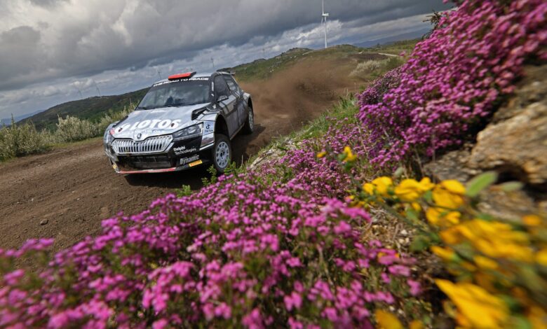Lotos Rally Team