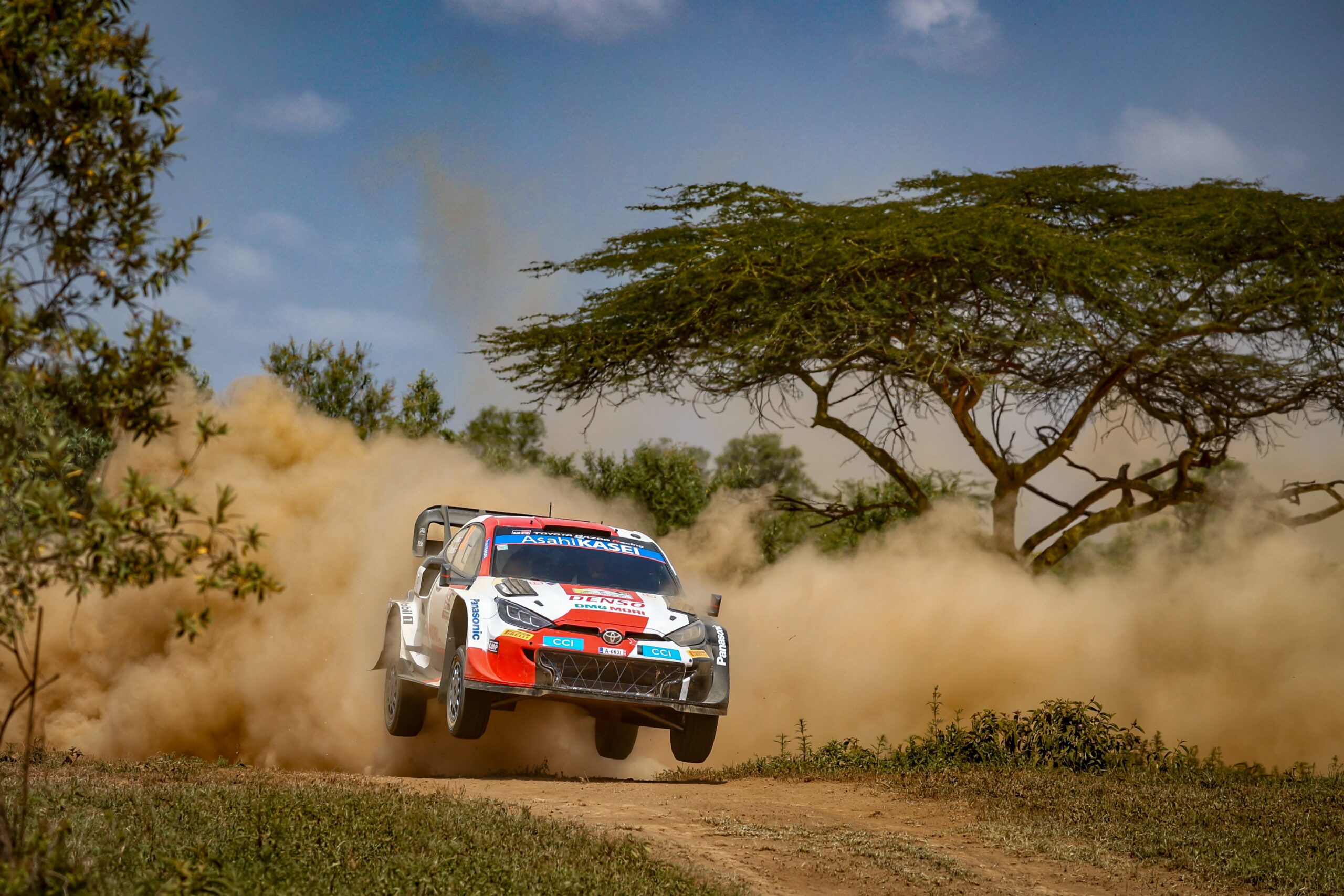 Rajd Safari OS2-4