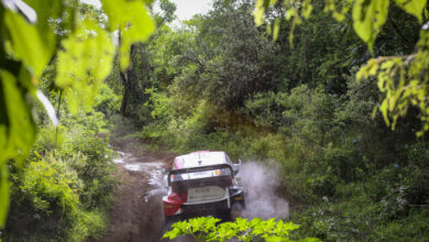 Rajd Safari OS17-19