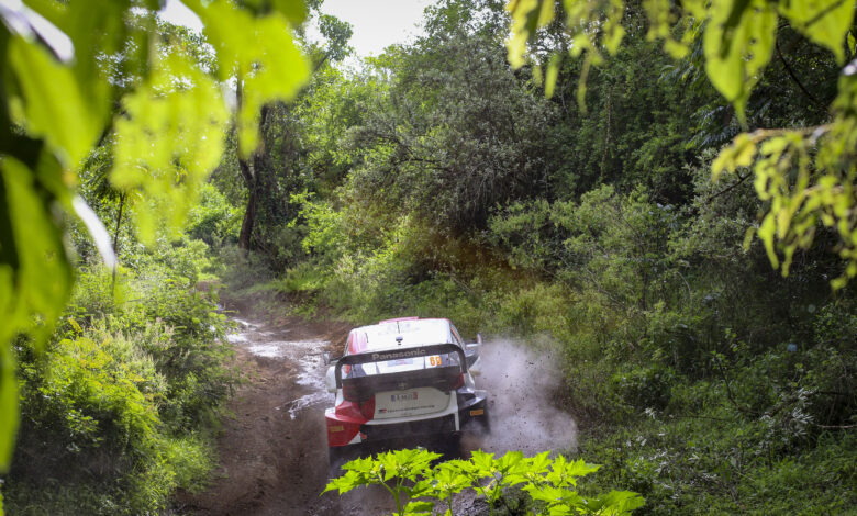 Rajd Safari OS17-19