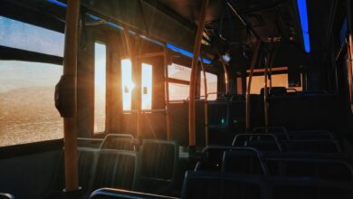 Bus