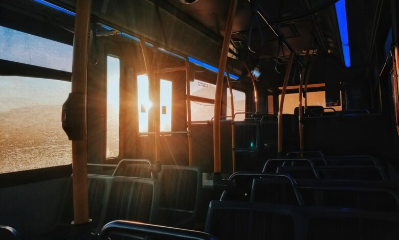 Bus