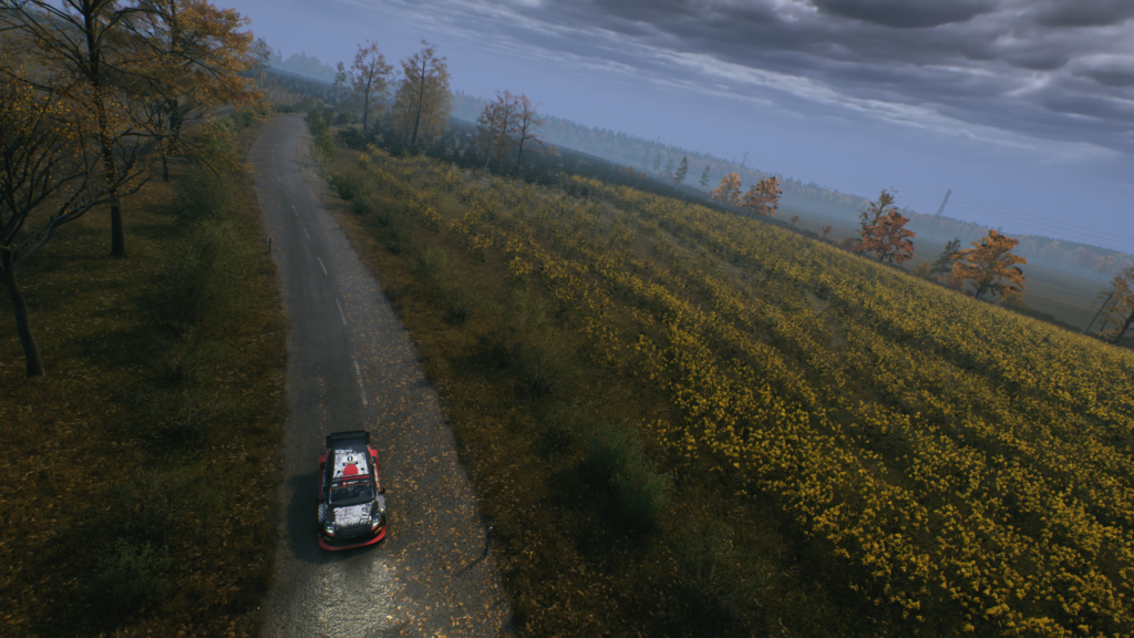 EA SPORTS™ WRC
