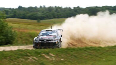 Ogier