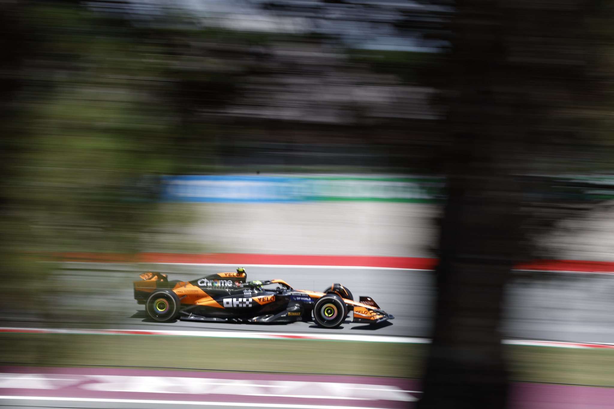 Lando Norris