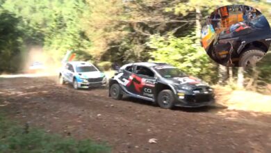 Ogier