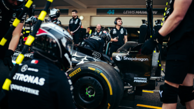 Mercedes AMG-Petronas F1 Team