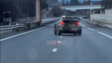 Ogier