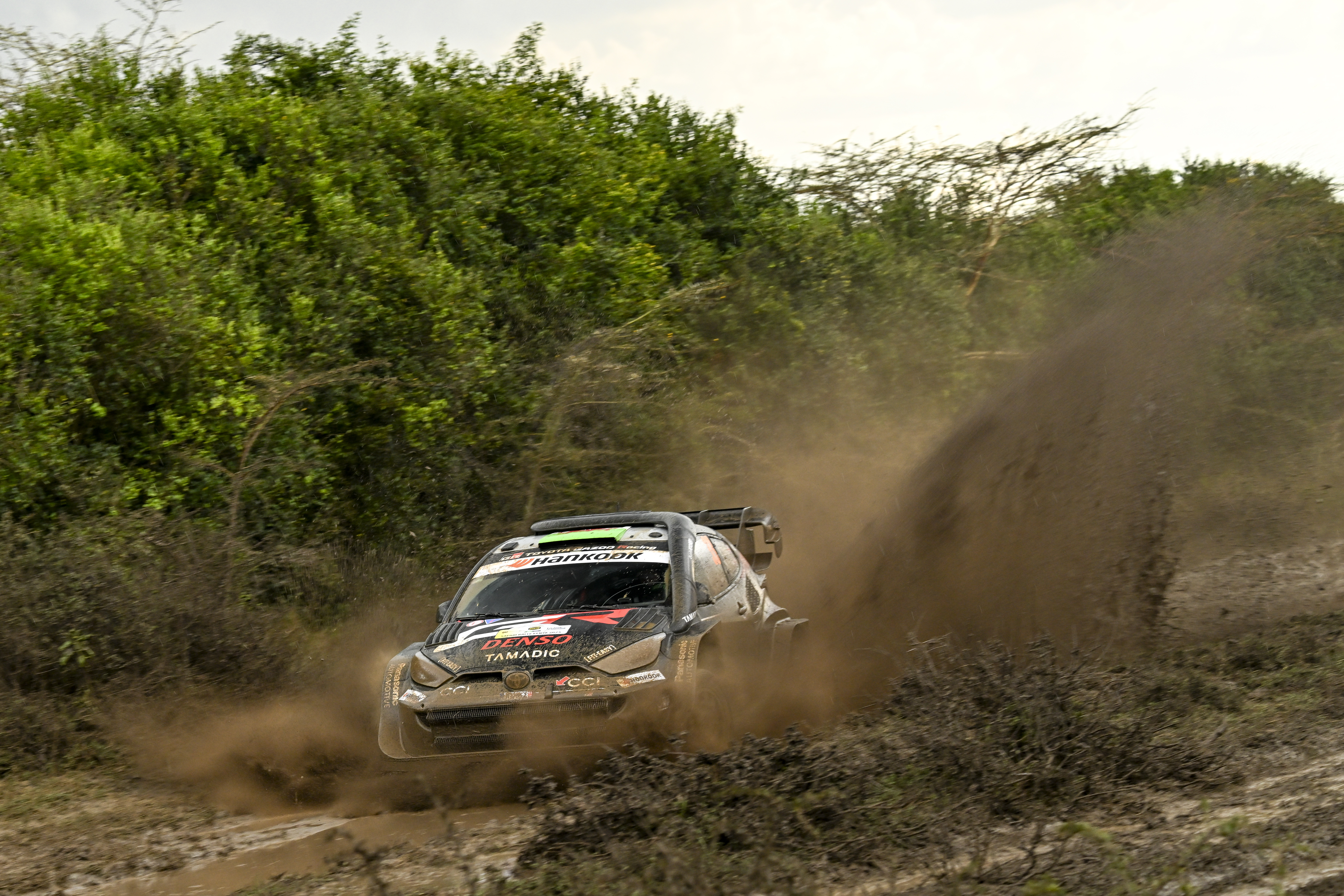 Evans o krok od zwycięstwa! Hyundai wraca na podium