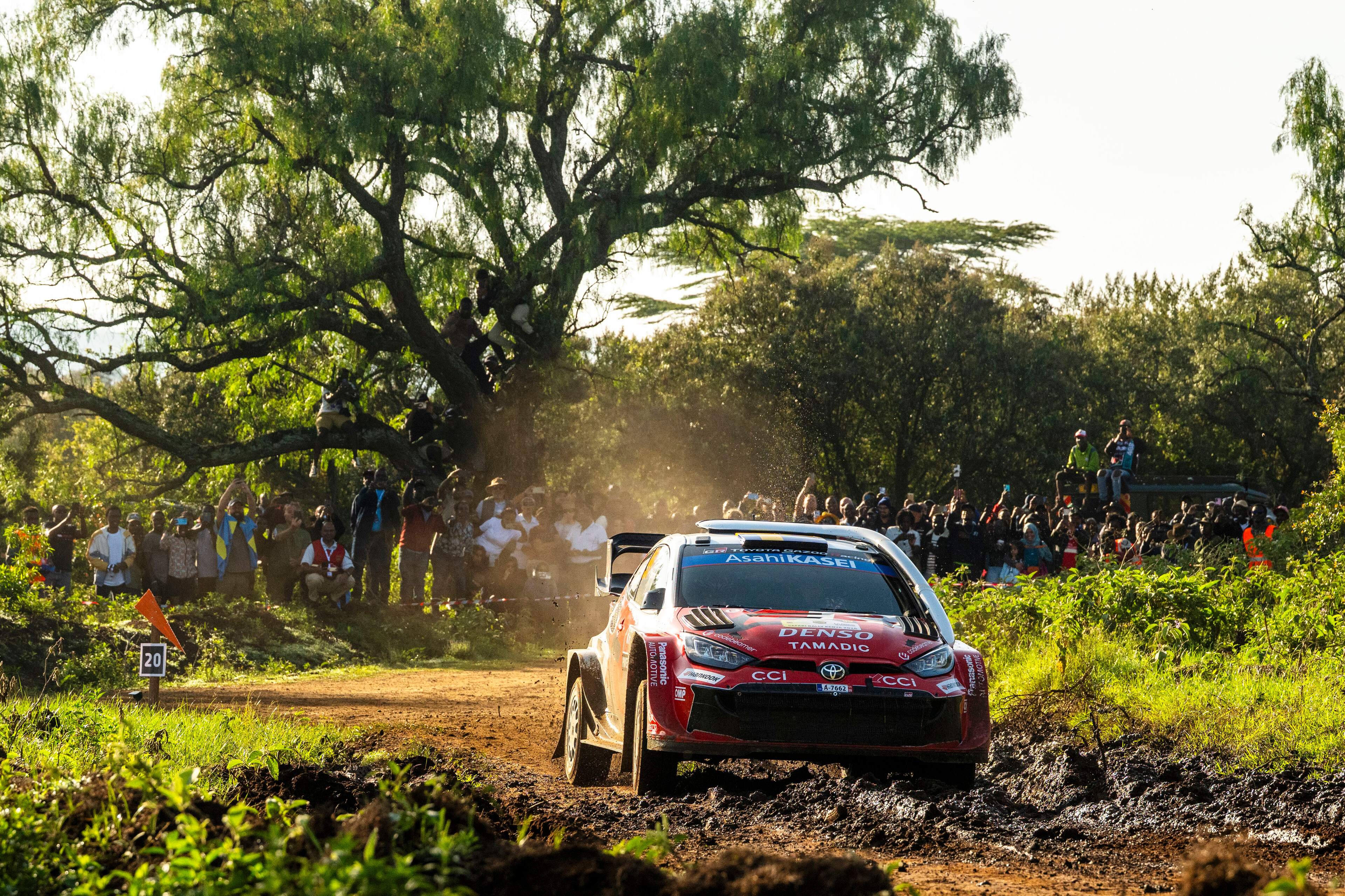 Neuville pewnie rozpoczyna Safari