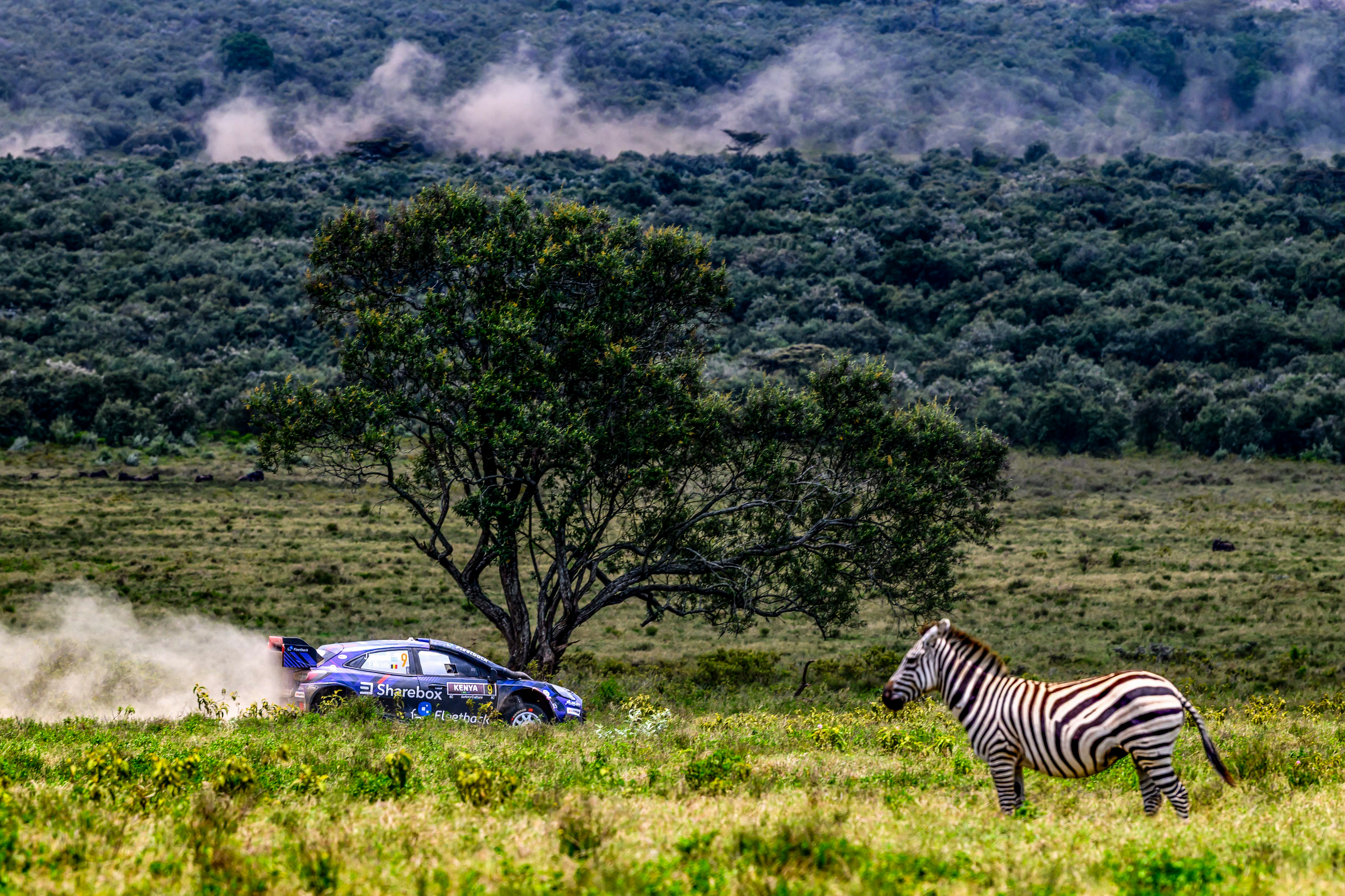 Nowa broń na kenijskie bezdroża. Hankook zmienia opony przed Rajdem Safari