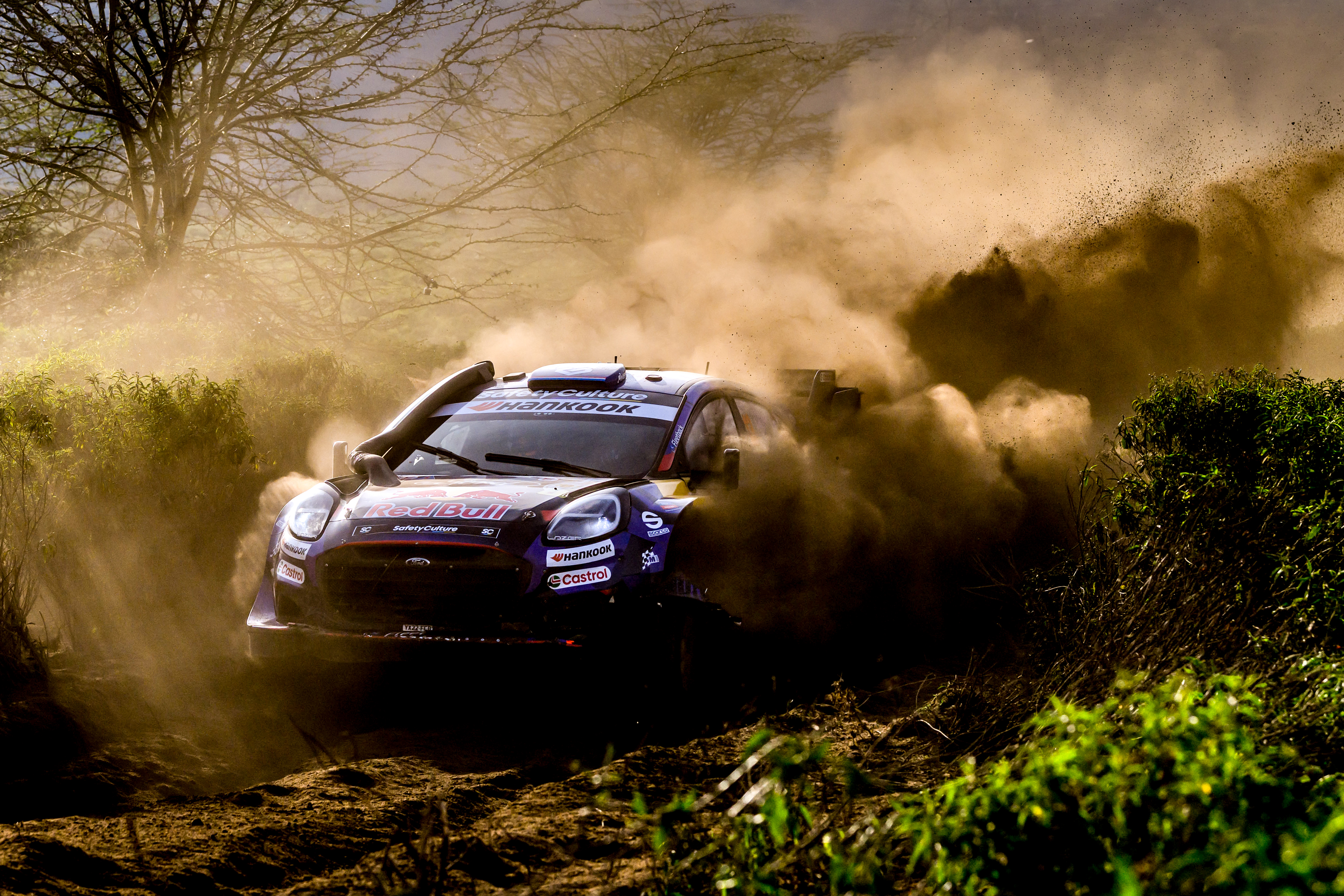 Thierry Neuville przedstawił propozycję dla FIA i Toyoty. Chodzi o okres przejściowy w WRC