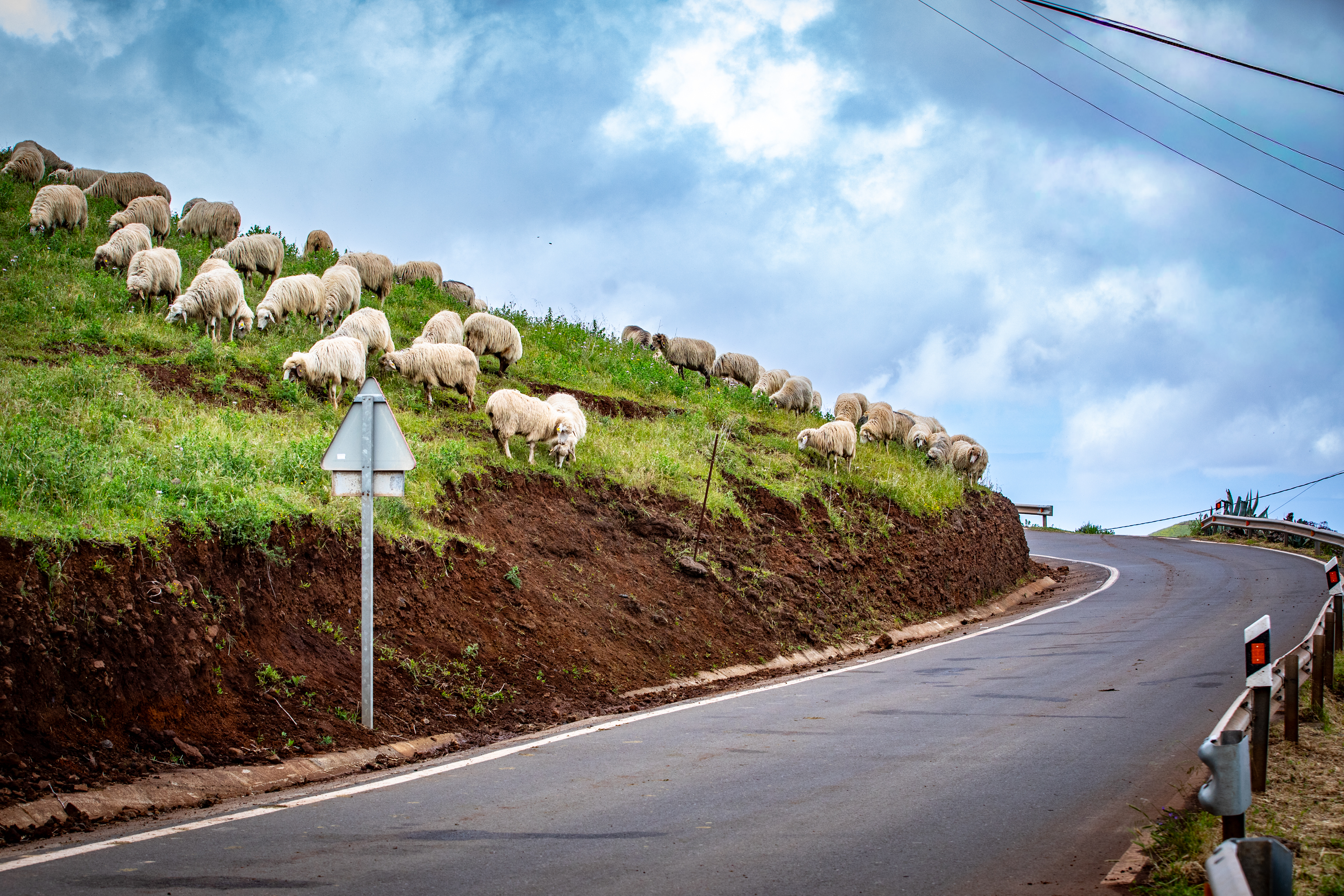 Abramowski i Wróbel w Rajdzie Wysp Kanaryjskich. Polska załoga wkracza na asfaltowe trasy WRC