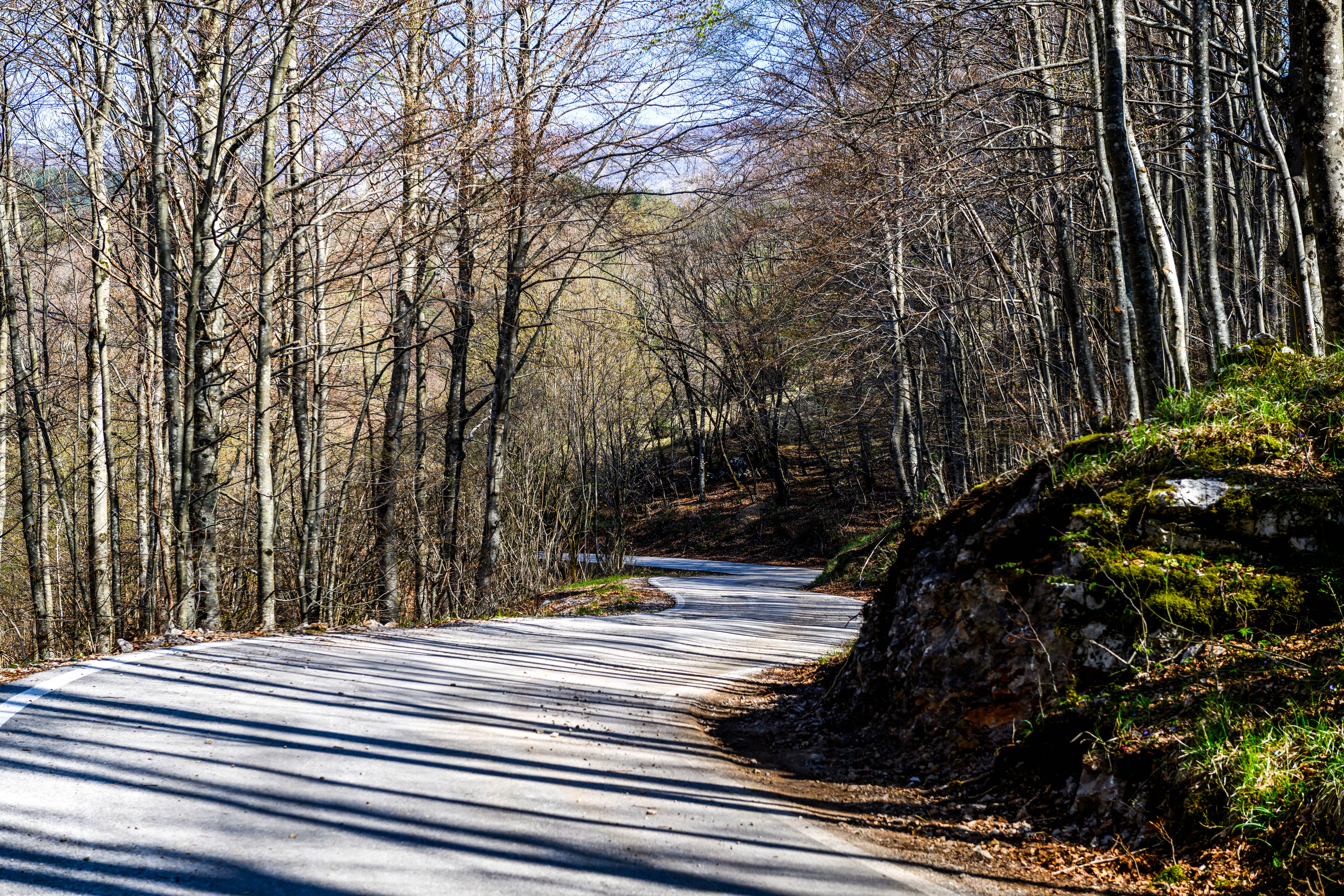 Rajd Chorwacji 2026. Spore zmiany w asfaltowym klasyku WRC