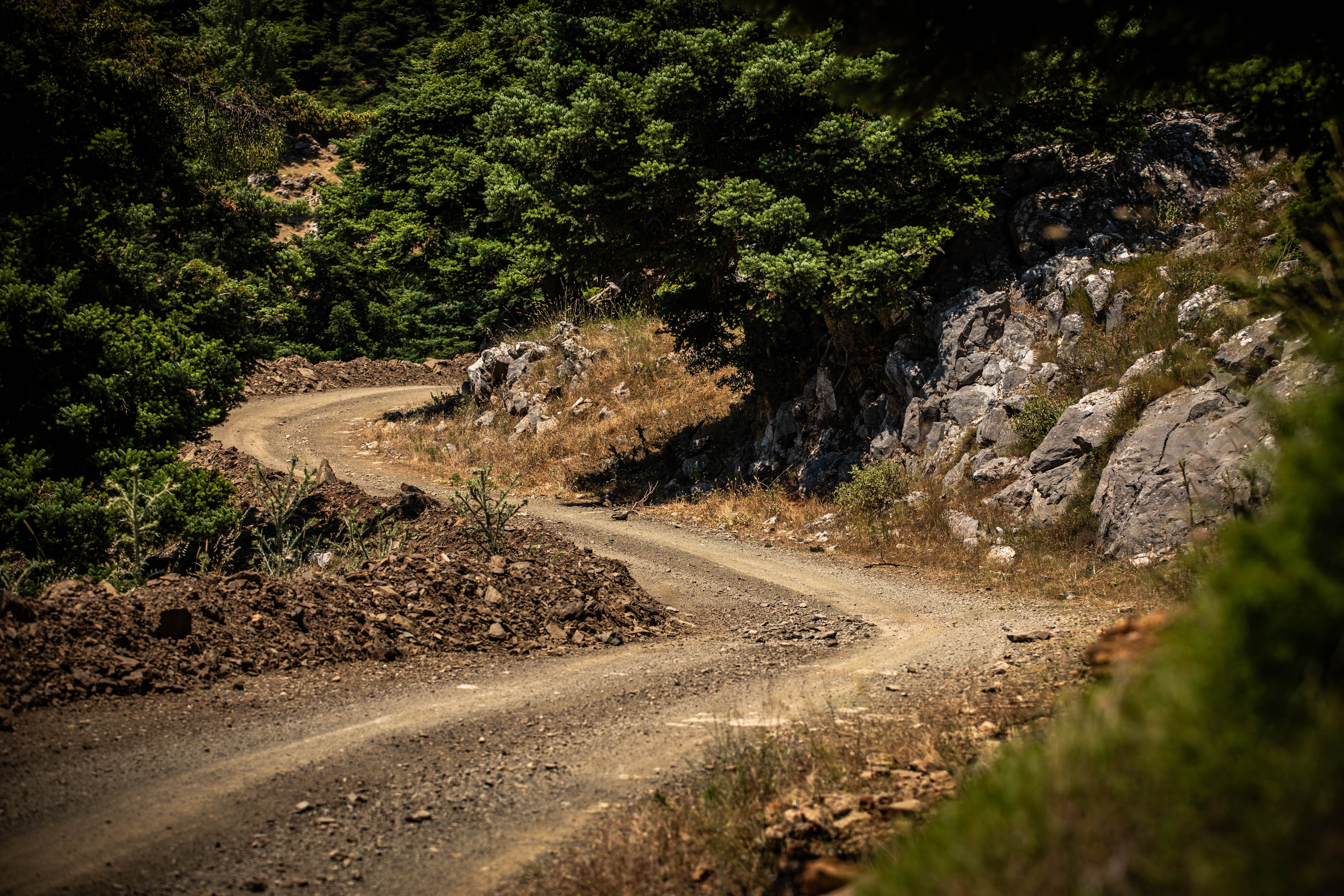 Tymek Abramowski i Jakub Wróbel wracają na trasy WRC. „Przed nami trudne wyzwanie”