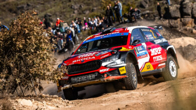 Martins SESKS during the FIA European Rally Championship in Fafe, Portugal,on 24, October 2026 //